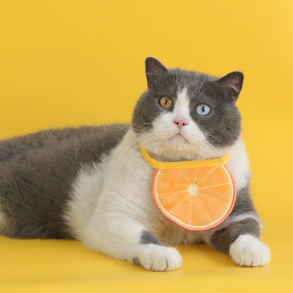 Mokka - Fruit Slice Cat Bib