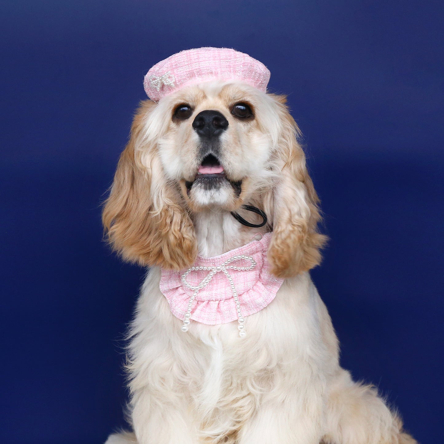 Ozzie - Stylish Pet Hat and Bandana