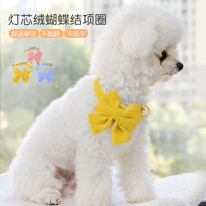 宠物项圈小型犬柯基法斗狗脖圈柴犬金毛中大型犬颈圈拉布拉多狗牌