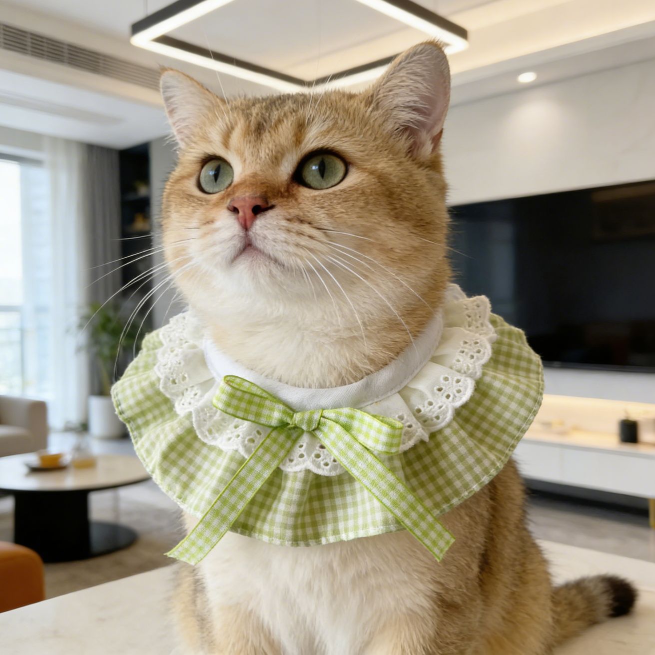 猫咪狗狗口水巾小清新公主风蕾丝边围脖饰品猫狗通用可爱口水巾