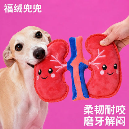 创意人体肾脏造型宠物玩具狗狗磨牙耐咬柔软毛绒玩具幼犬解闷互动