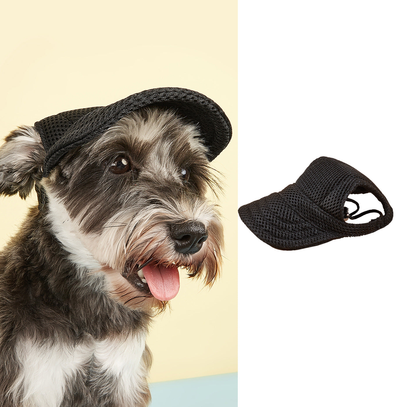 Happy dog wearing Ozzie mesh hat outdoors with trees in the background