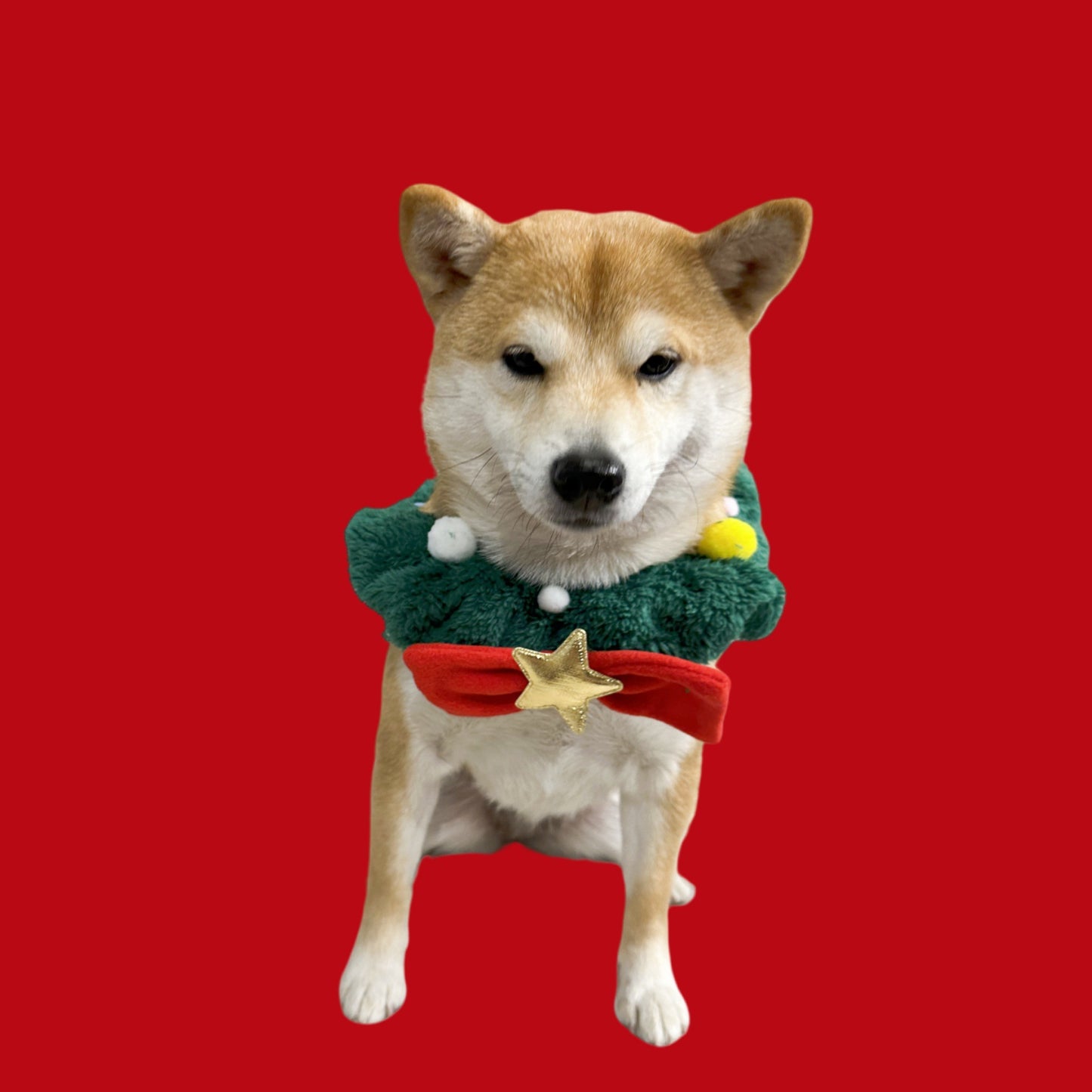 Mokka - Wreath-Like Plush Ruffle Pet Neckwear
