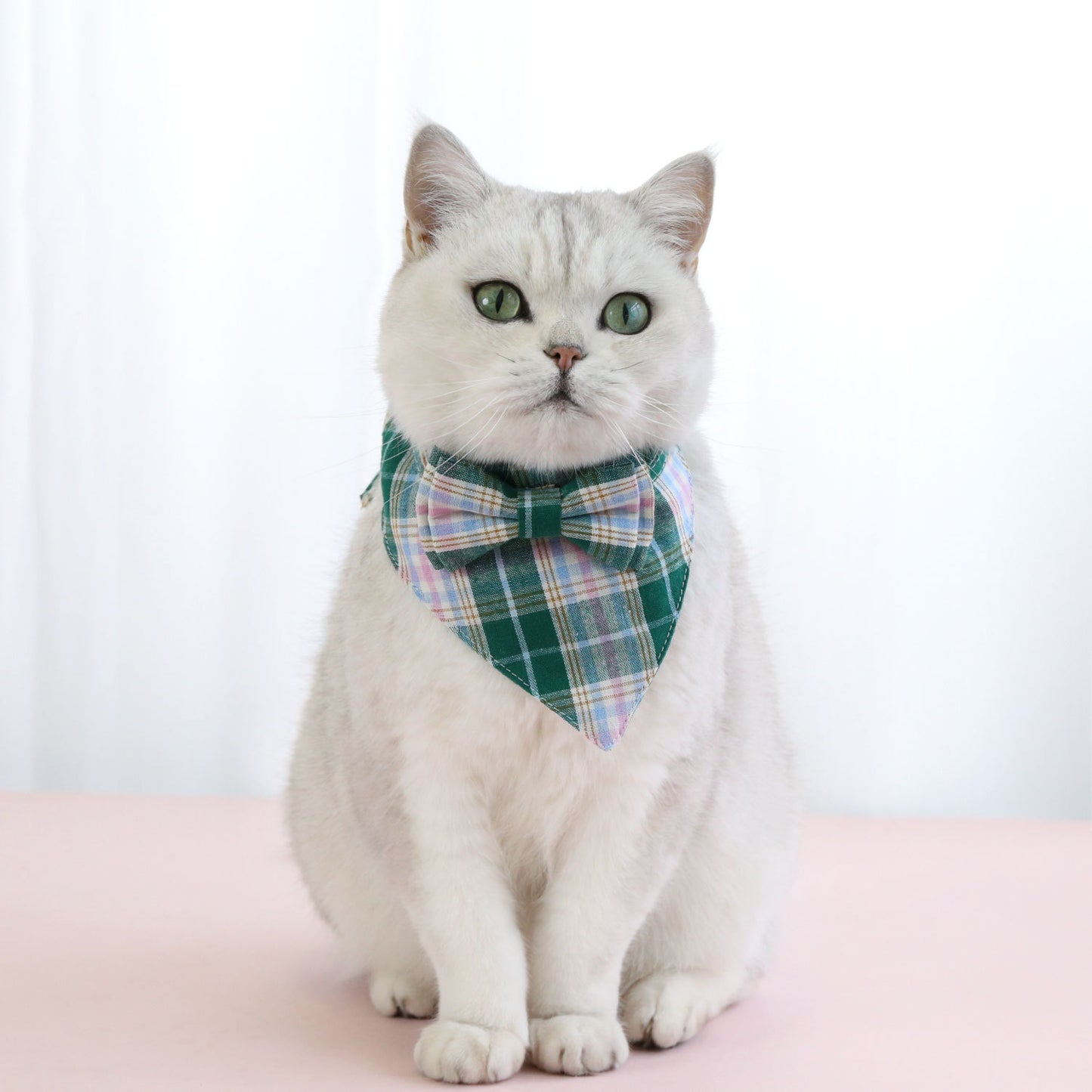 宠物格子英伦风蝴蝶结领带套装项圈防窒息猫咪狗可调节绅士项圈