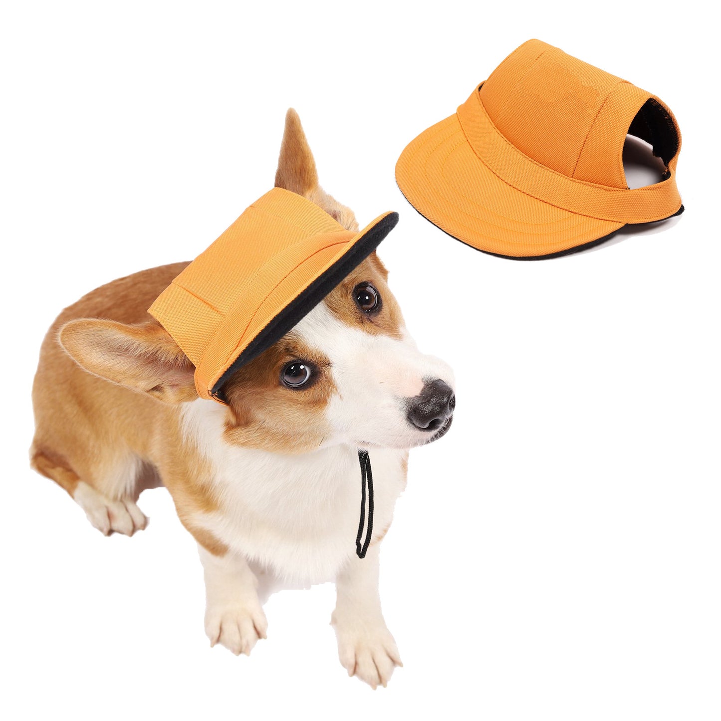 Small dog with Ozzie visor cap sitting on wooden bench outside