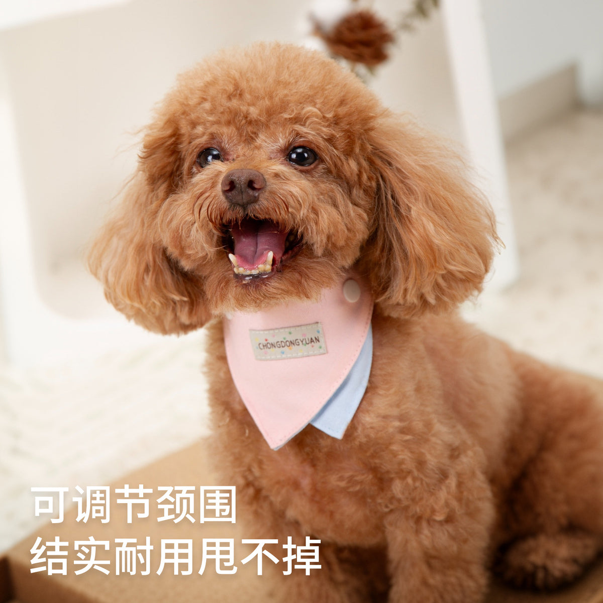 宠物狗狗口水巾ins马卡龙宠物帆布三角巾比熊围兜布偶猫猫咪围脖