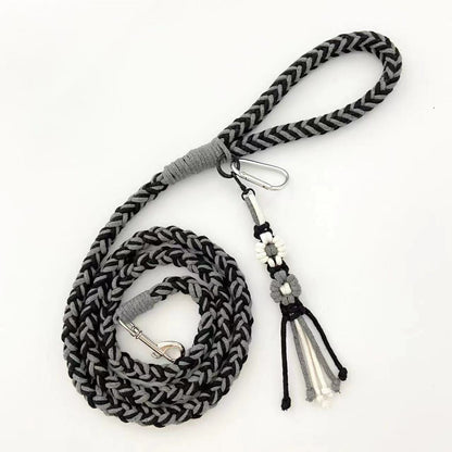 Loofie - 59in Pastel Braided Dog Leash