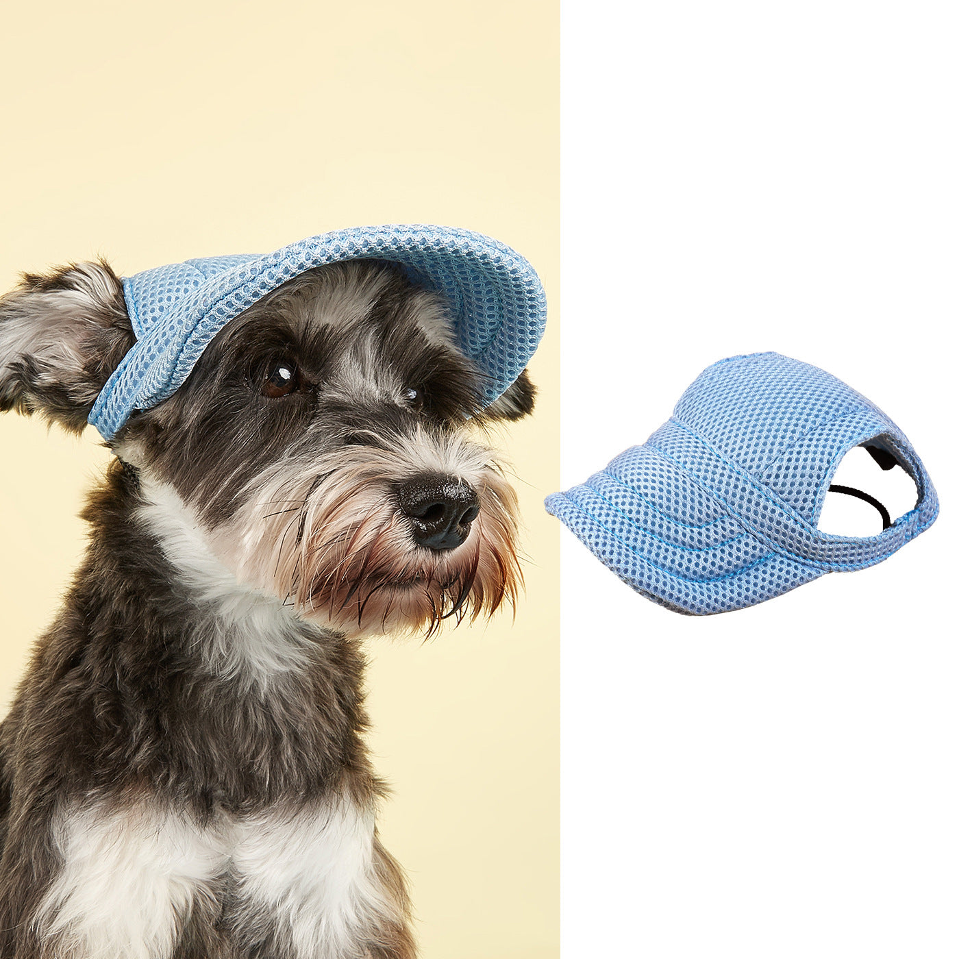 Small dog wearing Ozzie mesh hat sitting on grass with a leash attached