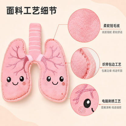 创意肺部造型狗狗毛绒玩具耐咬磨牙解闷幼犬中小型犬互动训练宠物