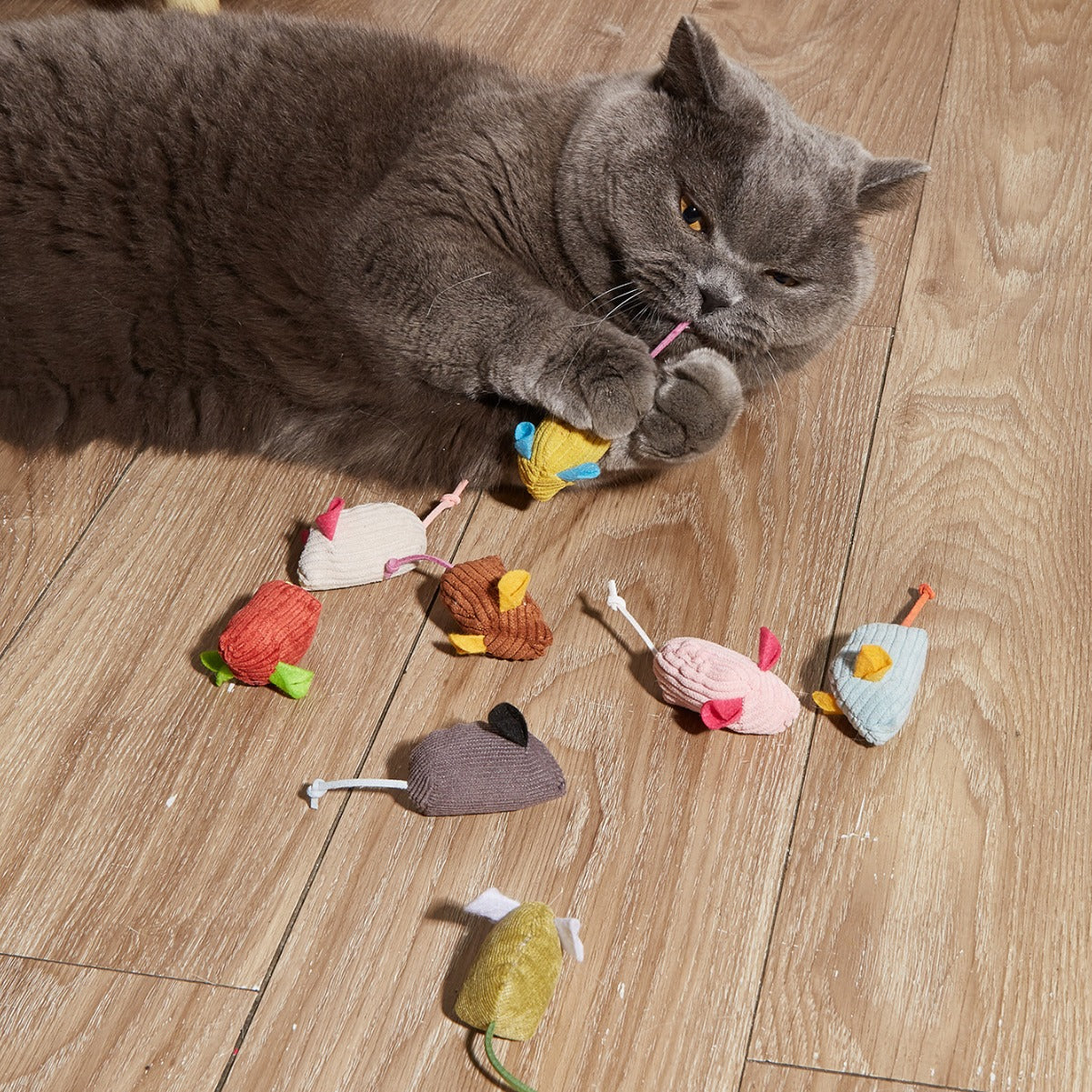 Moo - Colorful Mouse Shaped Cat Toy