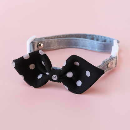 Mokka Polka Dots Bowtie Collar displayed with bowtie collar centered in frame