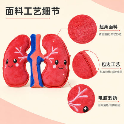 创意人体肾脏造型宠物玩具狗狗磨牙耐咬柔软毛绒玩具幼犬解闷互动