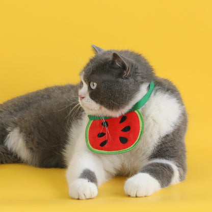 Mokka - Fruit Slice Cat Bib