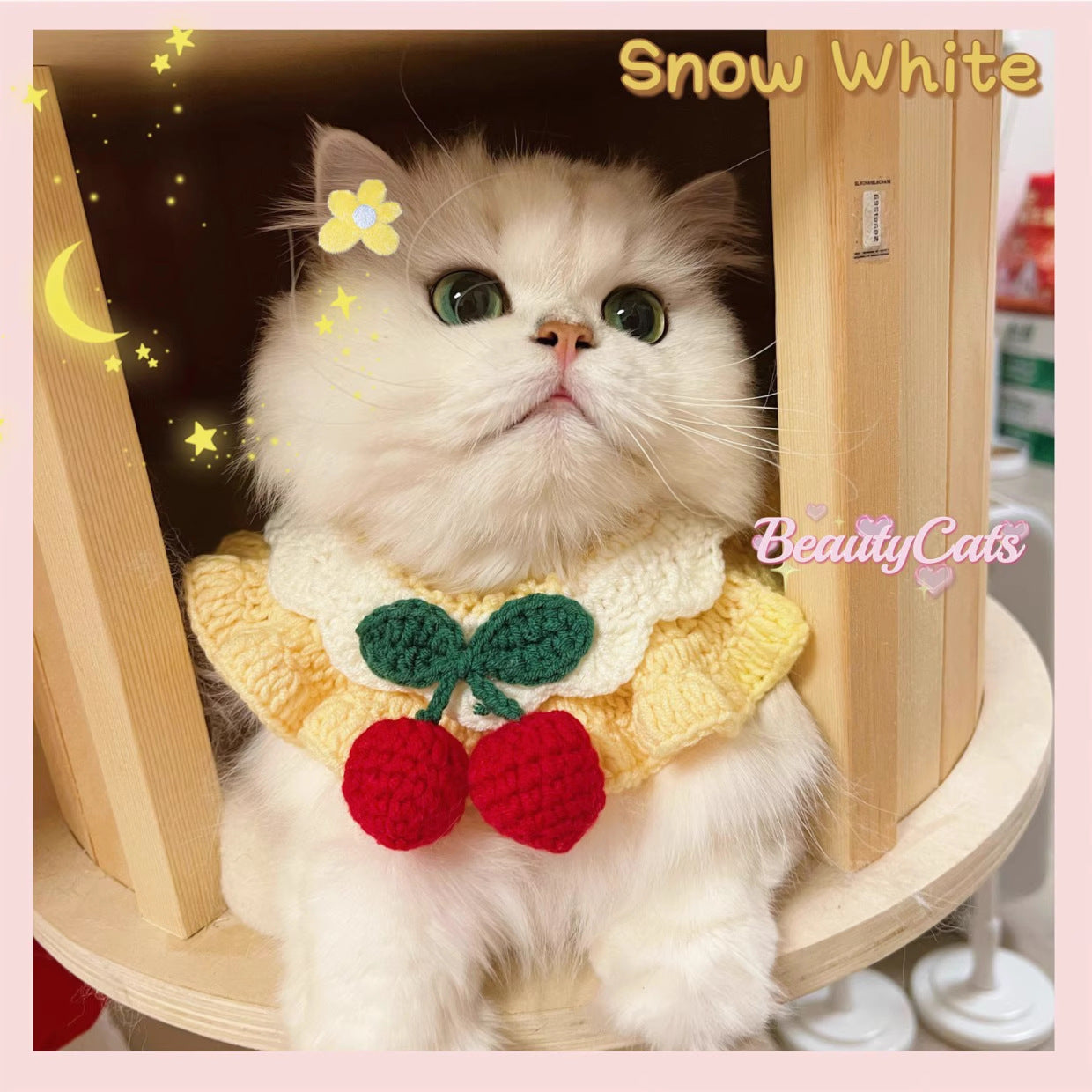 可爱猫咪围脖宠物狗狗围嘴樱桃花朵手工毛线项圈针织围巾装饰品