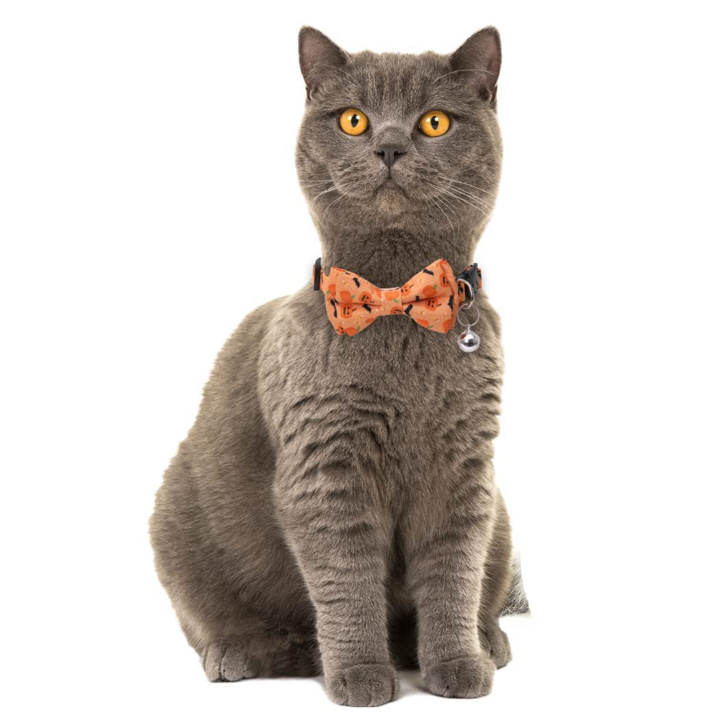 宠物猫项圈万圣节现货 南瓜蝙蝠帽子Halloween鬼节猫咪万圣节猫圈