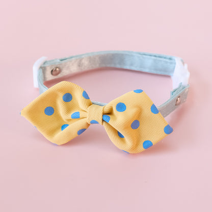 Mokka Polka Dots Bowtie Collar shown from an angle emphasizing bowtie shape