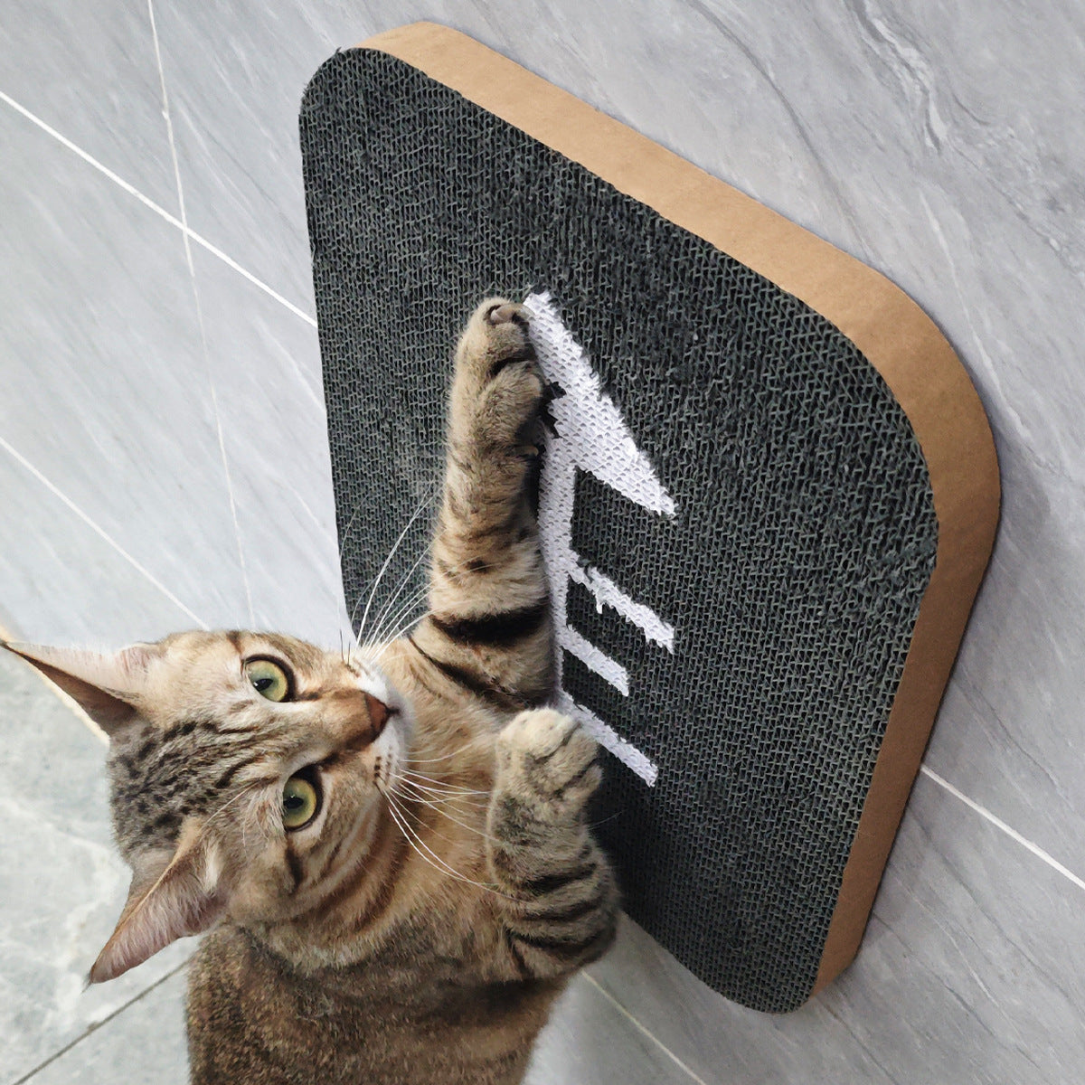 Cauli - Fishbone Pattern Cat Scratcher