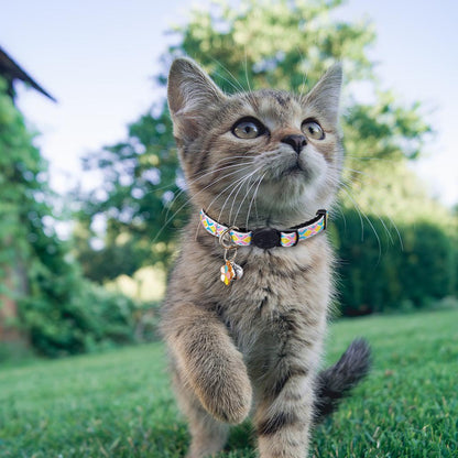 亚马逊宠物猫咪项圈铃铛花朵彩色格纹提花小狗脖圈编织猫项圈批发