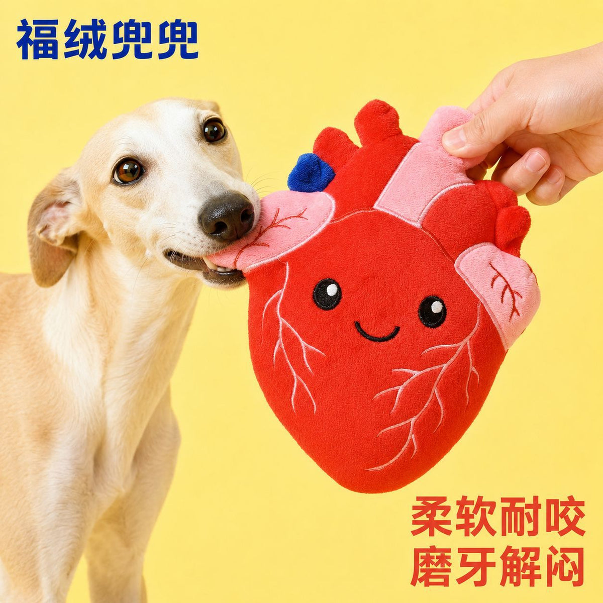 人体器官心脏造型狗狗毛绒宠物玩具猫咪玩具宠物用品幼犬磨牙啃咬