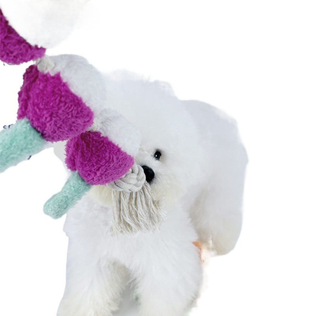 Petkin - Plush Vegetable Rope Dog Toy