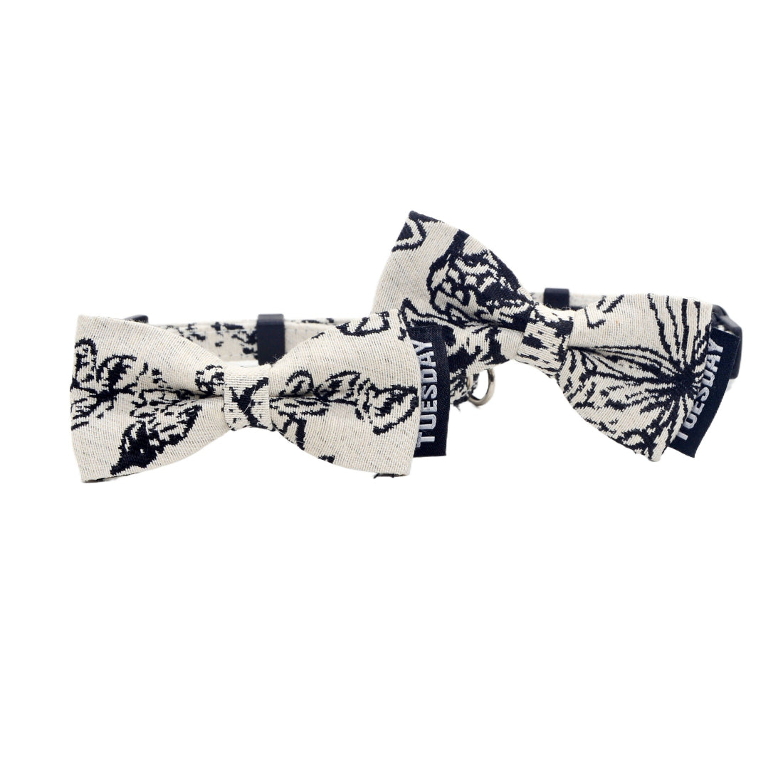 Close-up of the black and white bow on the breakaway cat collar