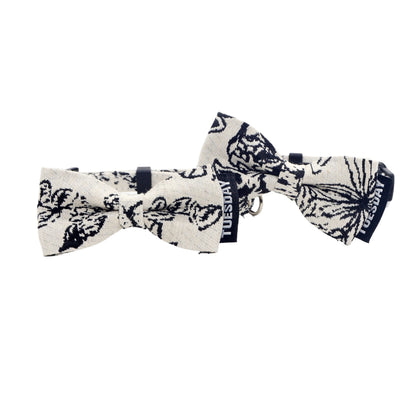 Close-up of the black and white bow on the breakaway cat collar