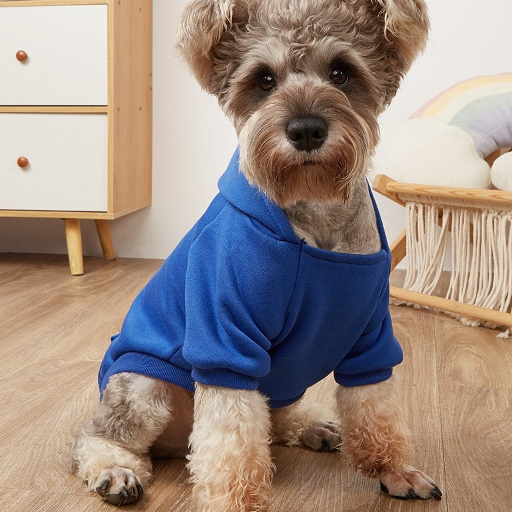 Ozzie - Cartoon Print Hooded Pet Sweatshirt