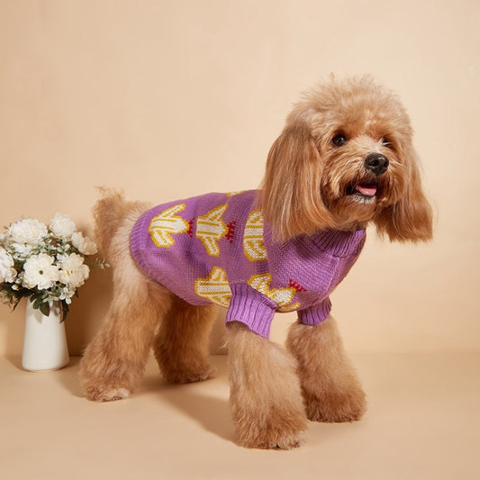 Ozzie - Cactus Pattern Knit Dog Sweater for Pets