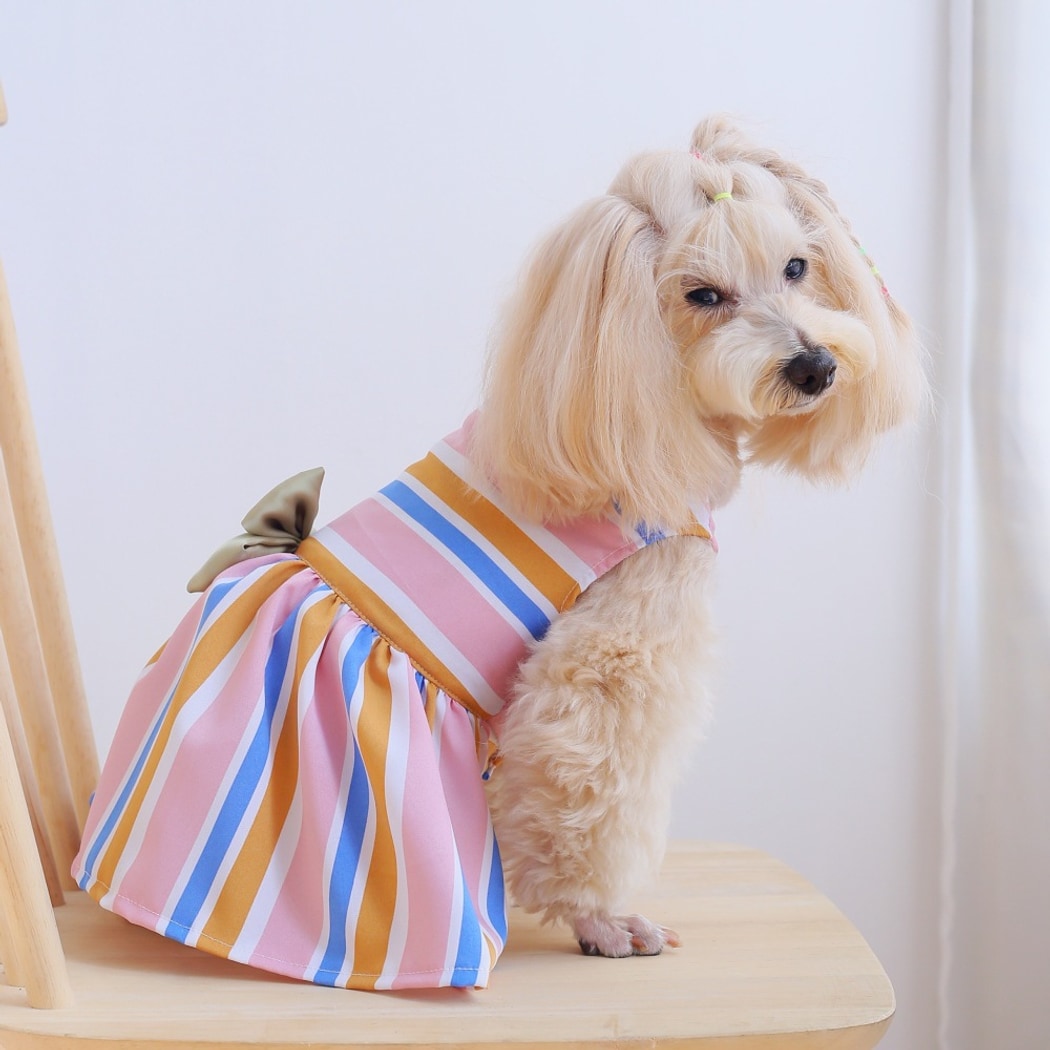 Ozzie - Colorful Striped Bow Pet Dress