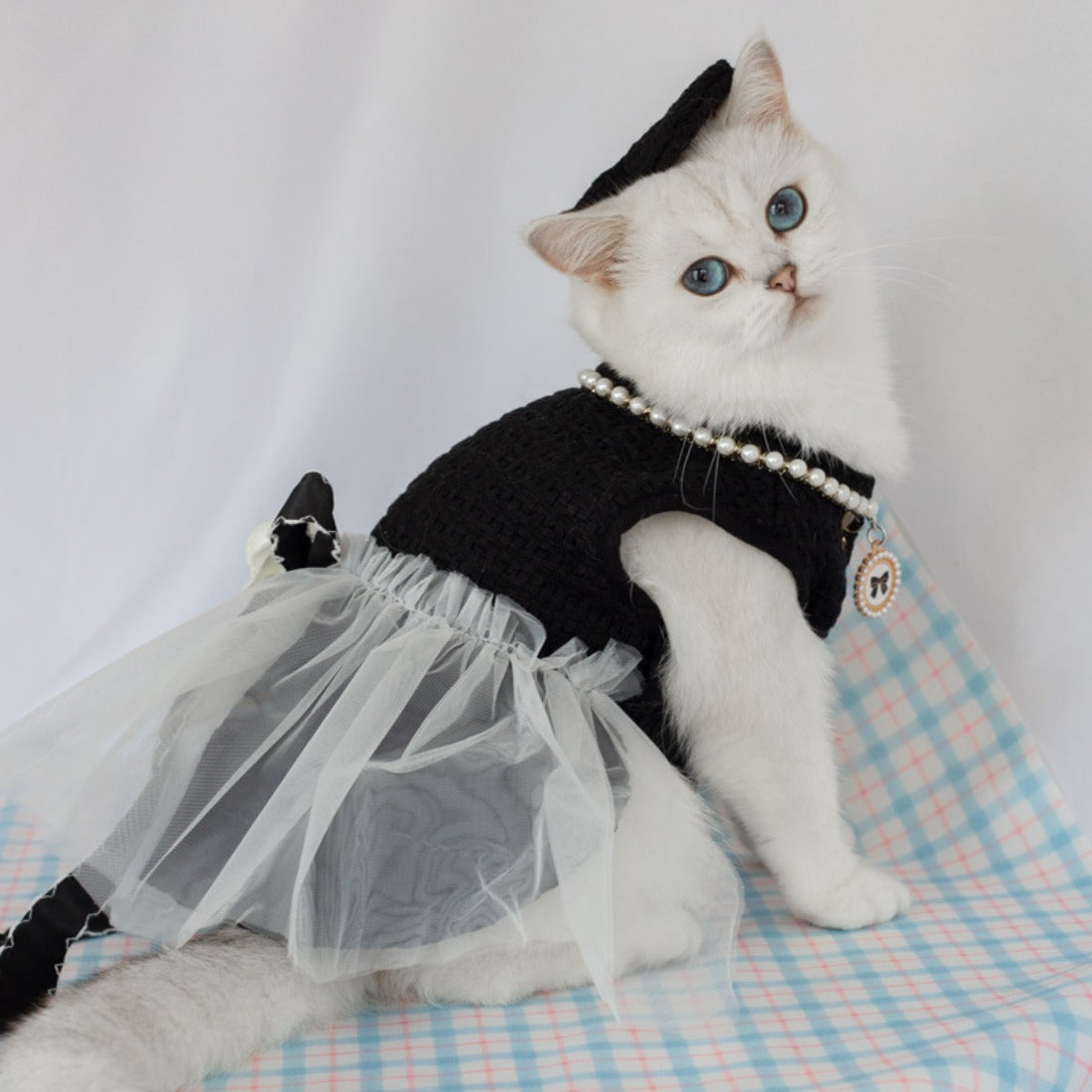 Ozzie cat wearing a vest style tulle dress with a bow detail, front view