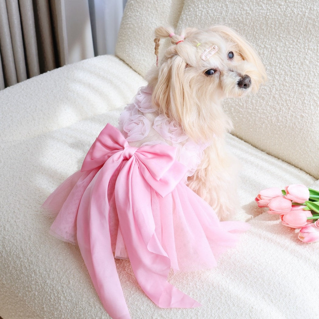 Ozzie - Tulle Skirt Pink Dress Style Pet Dog Dress