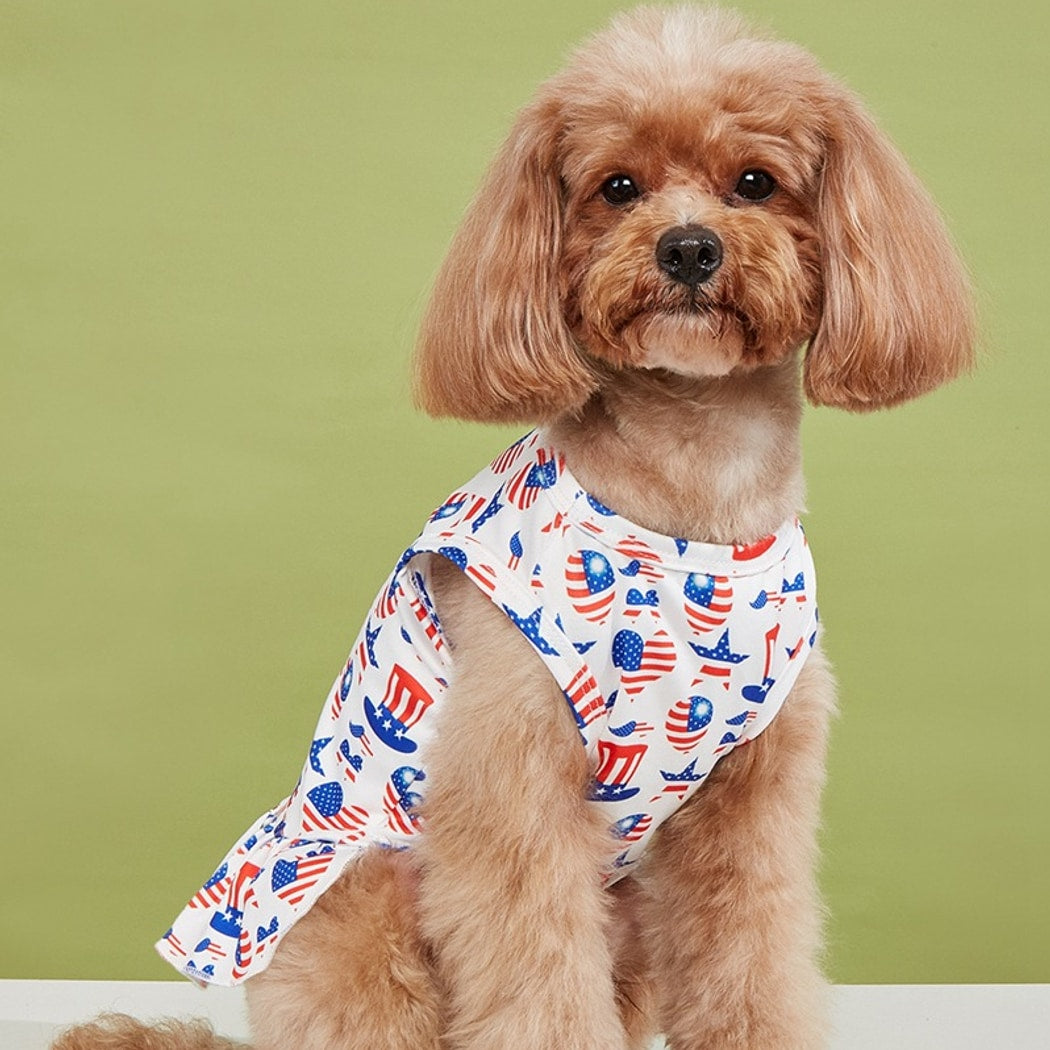 Ozzie - Ruffle Colorful Party Print Pet Dress