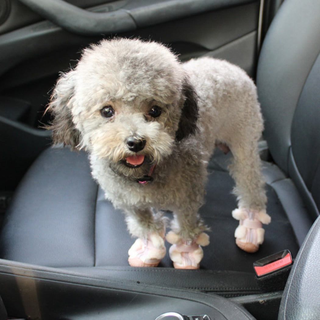 Ozzie - Cozy Winter Dog Boots