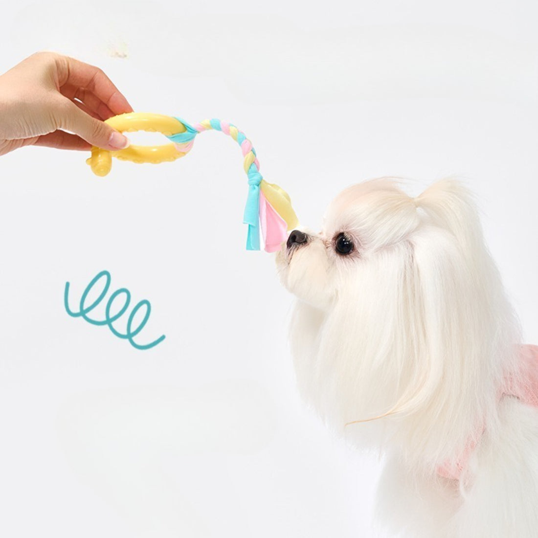 Close-up of Petkin Rubber Ring Rope Tug Dog Toy showing red rubber ring and twisted white rope