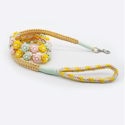 Loofie floral braided dog leash with metal clip and braided handle