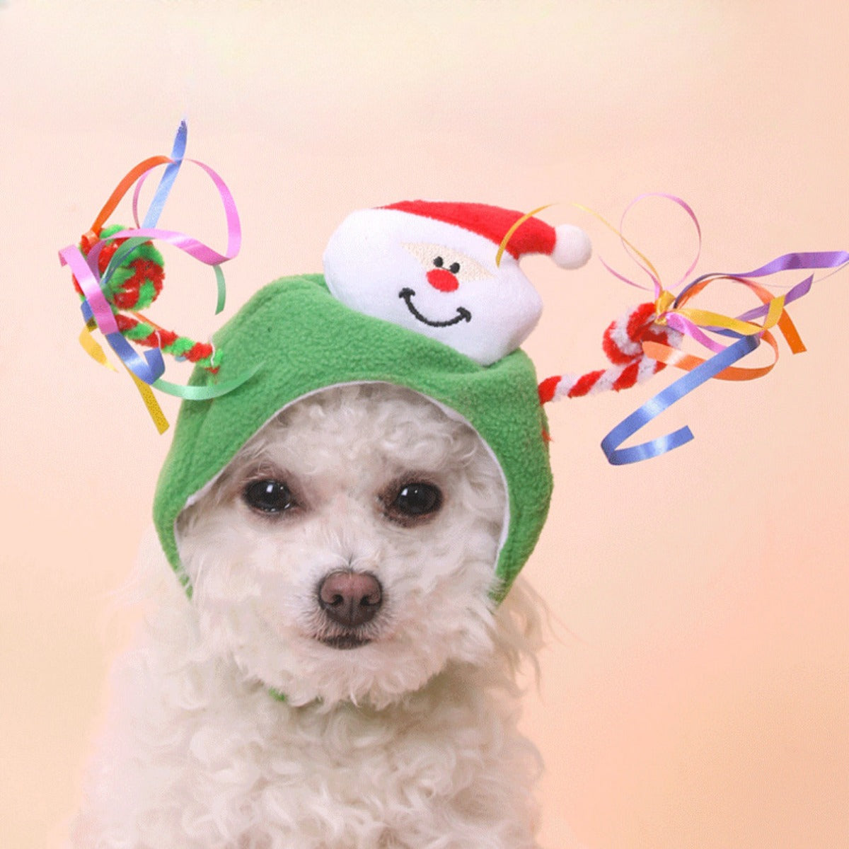 Christmoo - Santa Hat Pet Costume