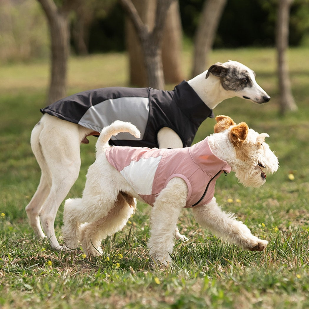 Ozzie - Color Block Everyday Dog Vest
