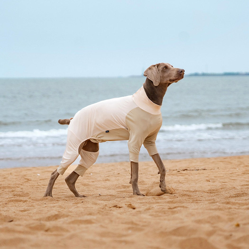 Ozzie - Full Coverage Four-Leg Summer Dog Shirt