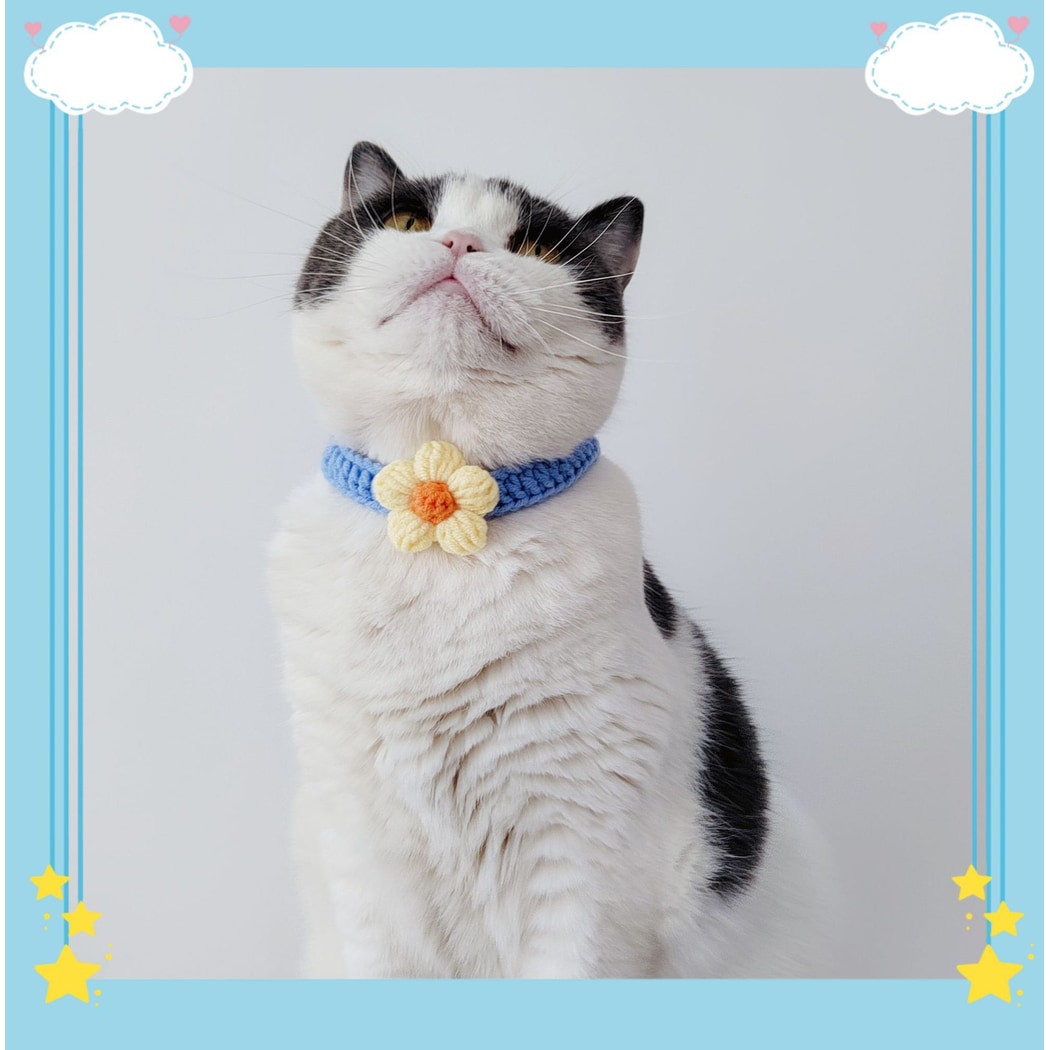 Mokka - Floral Knit Cat Decorative Collar