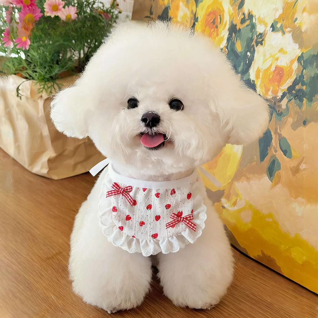 Mokka - Bow Lace Bib Pet Neckwear