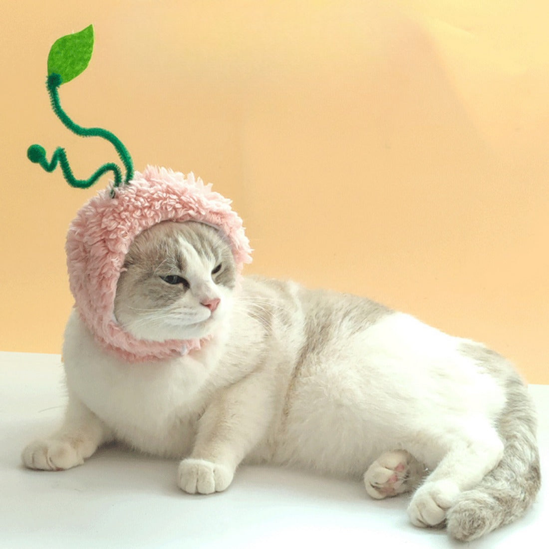 Ozzie - Peach-Shaped Pet Hat