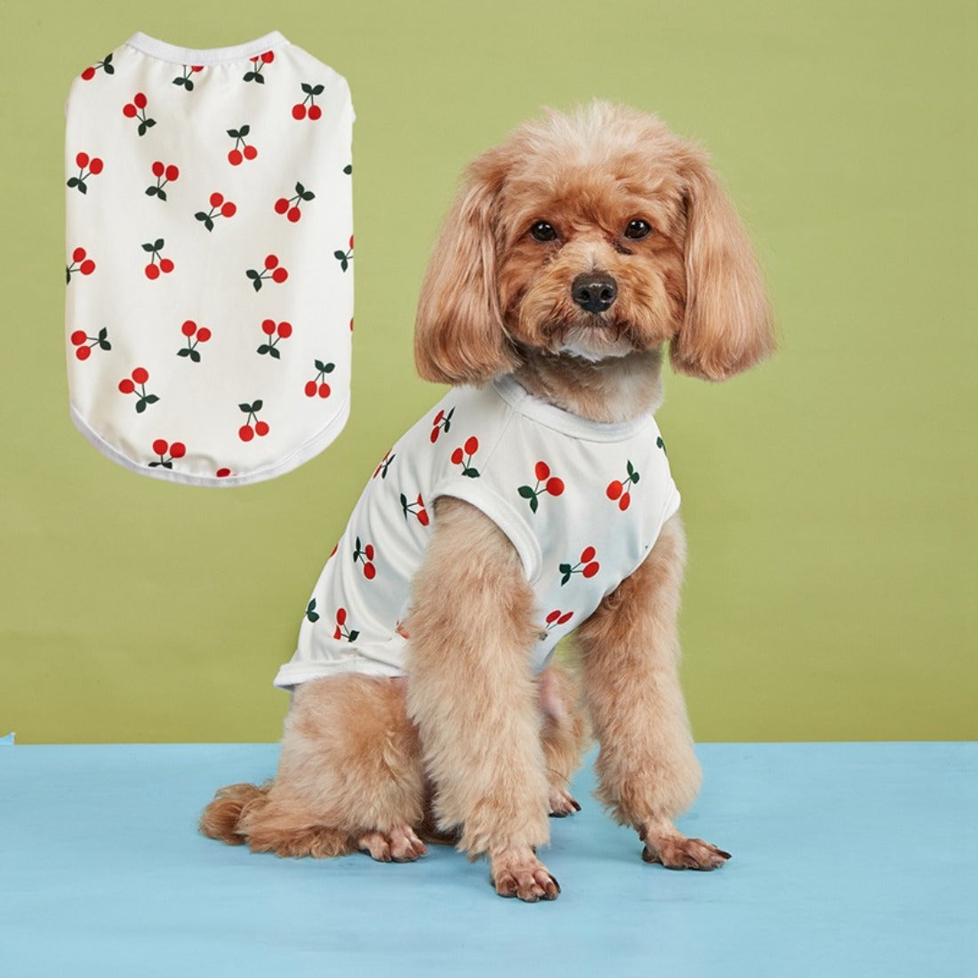 Ozzie dog t-shirt folded neatly showing front paw print pattern