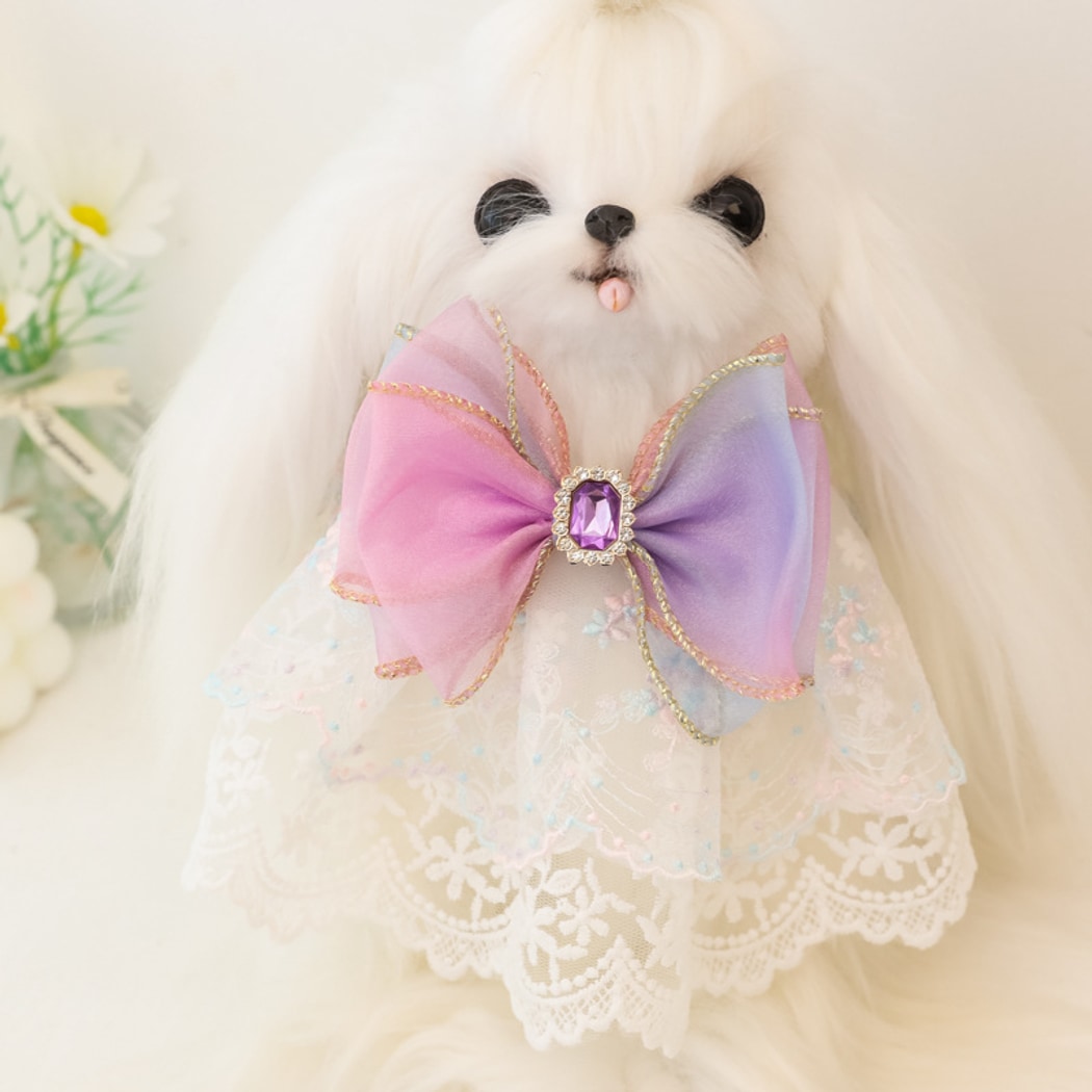 Mokka - Scalloped Lace Bow Accent Cat Collar