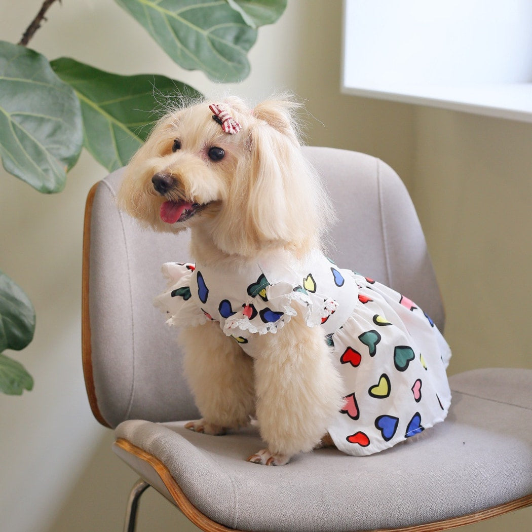 Ozzie - Colorful Heart Print Pet Dress