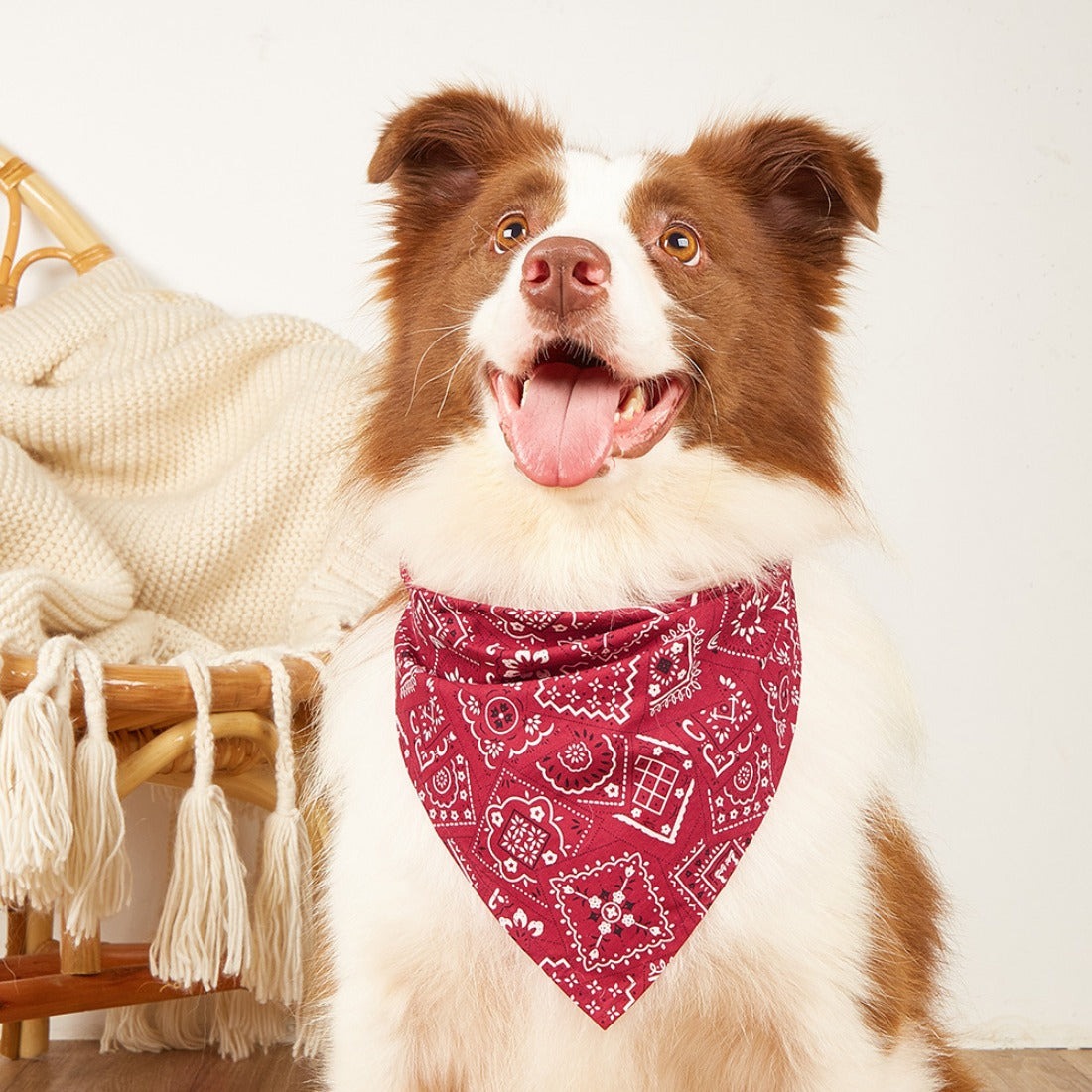 Furbud - Classic Paisley Dog Bandana