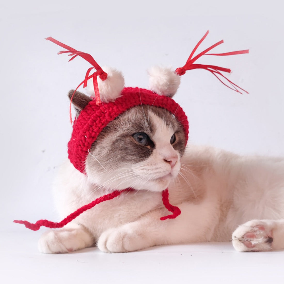 Ozzie - Bunny-Shaped Pet Hat