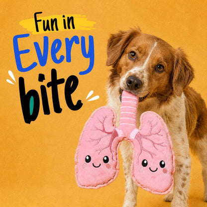Petkin Pink Lung Plush Dog Toy