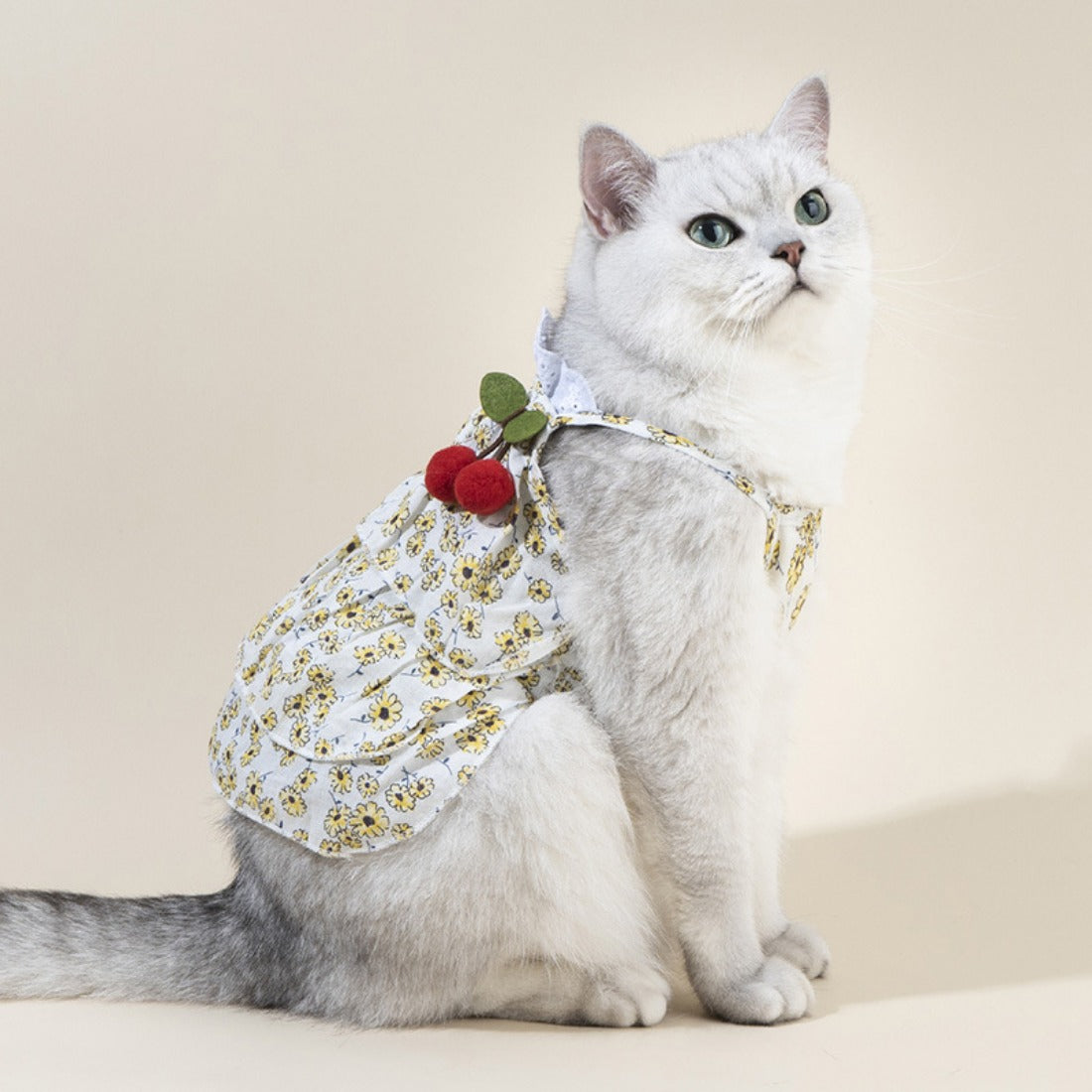 Ozzie - Small Floral Pattern Clothes for Cats