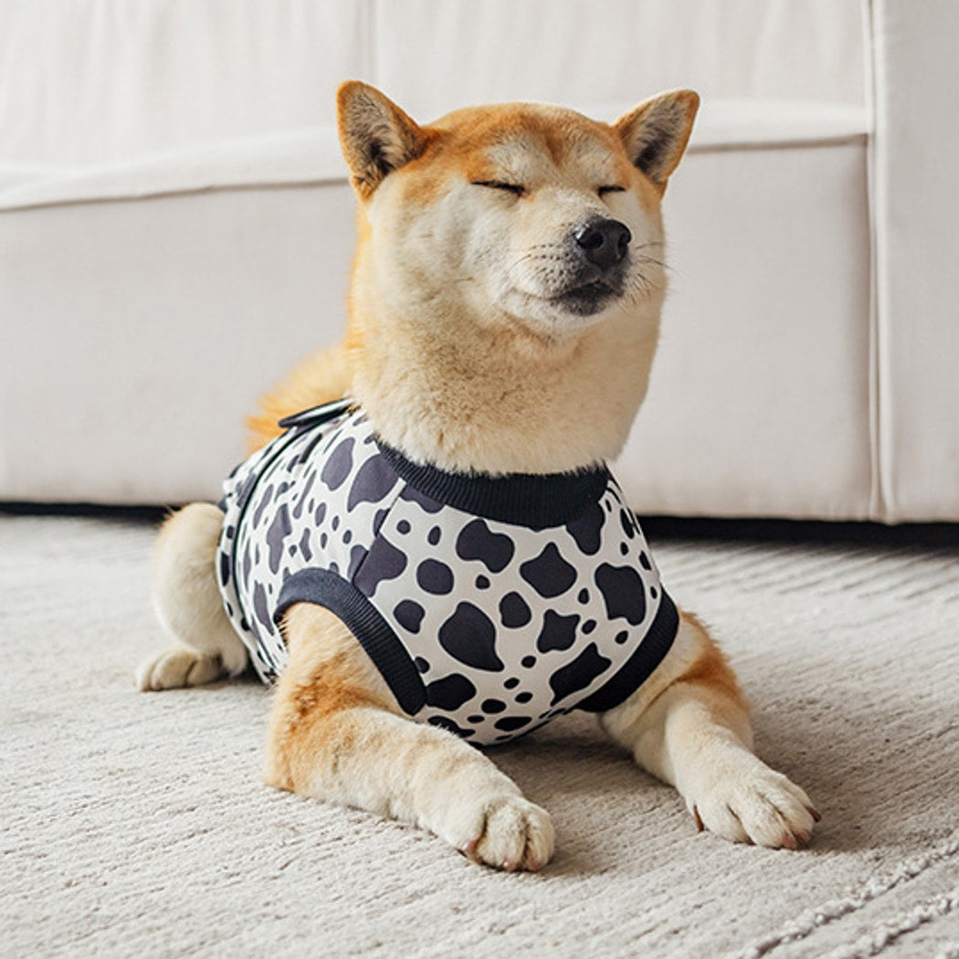 Ozzie - Trim Detail Dog Aftercare Recovery Vest