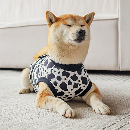 Ozzie - Trim Detail Dog Aftercare Recovery Vest